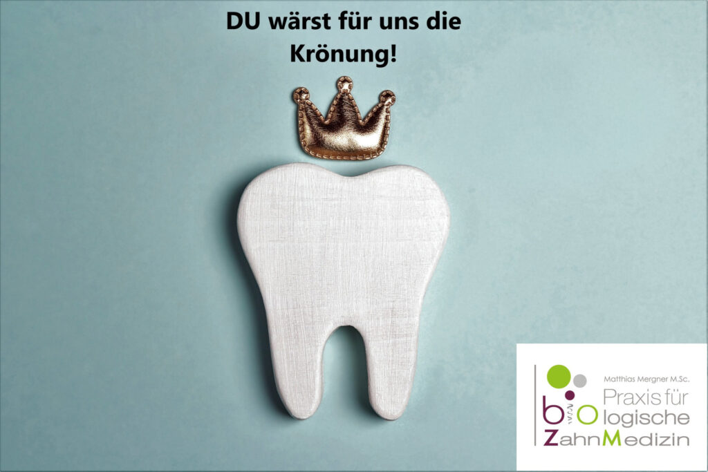 Zahnarzt Mergner_Karriere